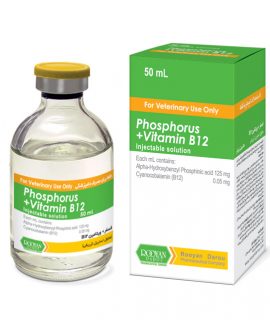 PhosphoursVitamin-B12-270x320